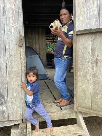 Delfin hat einen Schädel von einem Puma gefunden