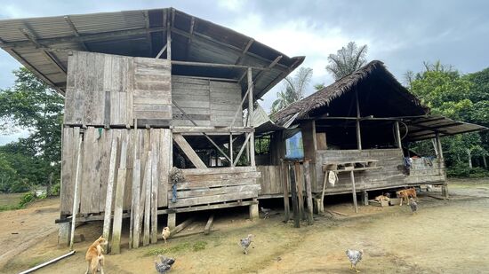 Hier die andere Seite—alles ist offen-ich bin SO zerstochen worden von irgendwelchen Mücken