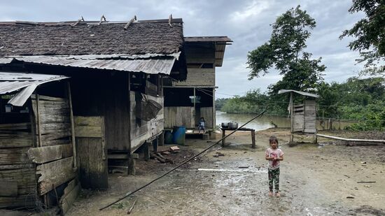 Es regnet schon wieder und das ganze Grundstück verwandelt sich in ein Schlammfeld