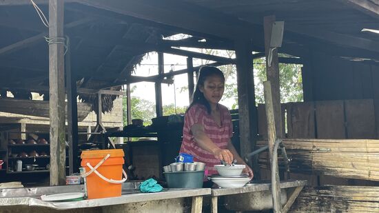 Die Frau von Herrmann ist auch ständig hier und kocht —man glaubt nicht, wieviel Wert hier auf Essen gelegt wird.
Mangels Brot gibt es morgens schon ein warmes Essen—bestehend aus irgendeinem Fleisch und Yucca oder Kochbananen—dank uns nun auch mit Reis