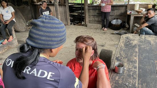 Delfin bemalt mein Gesicht