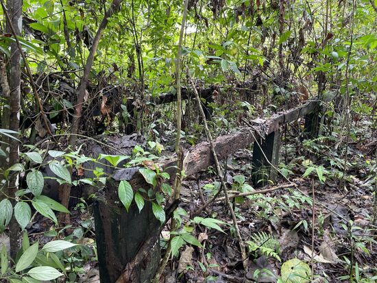 Das sind die Reste von „Cabins“—Unterkünften für Gäste—die gehörten Amanda, als ihr Mann noch lebte. Danach hat sie diese aufgegeben-wir vermuten, dass sie das Holz für das neue Haus weggeschleppt haben