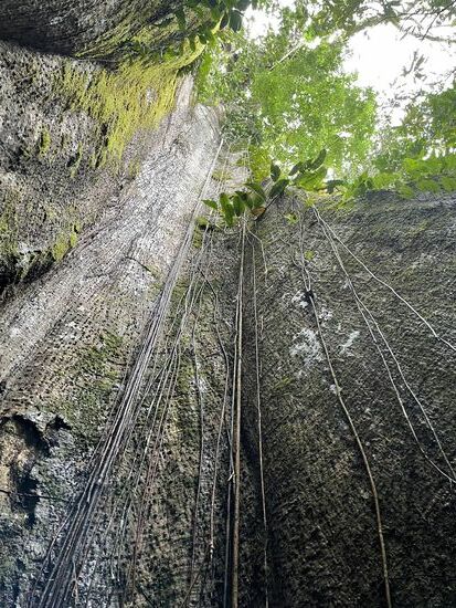 hier stehen wir im Inneren und schauen nach oben