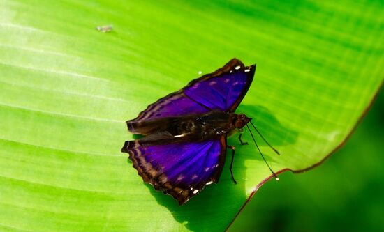 Der Fotograf findet ein paar schöne Motive…