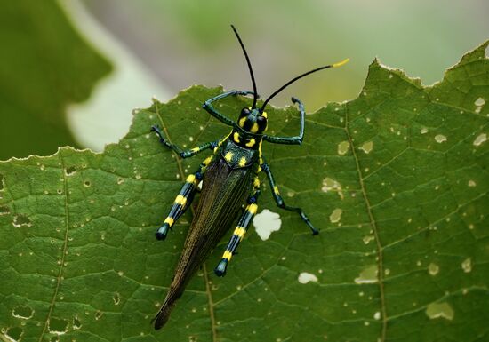 Hübsches Farbenspiel