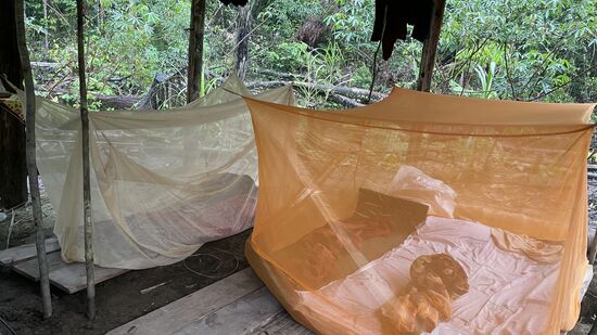 Links schläft Herrmann und rechts Amanda und William