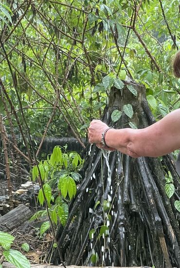 Es regnet mal wieder und wir duschen mit dem Regenwasser welches vom Hüttendach läuft