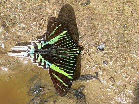 Sie zeigen sich auch mal sehr schön für ein Foto