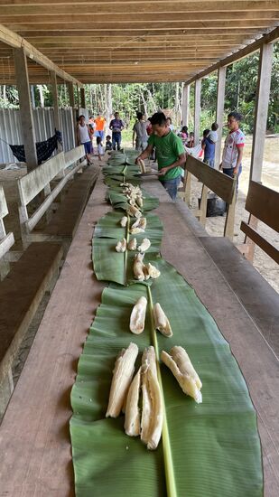 Gegen 14 Uhr gibt es lunch—dafür kommt wieder eine Bananenblatt-Tischdecke zum Einsatz