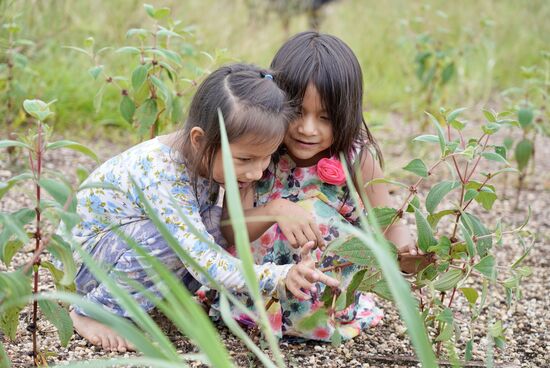 Sie entdecken immer etwas Neues