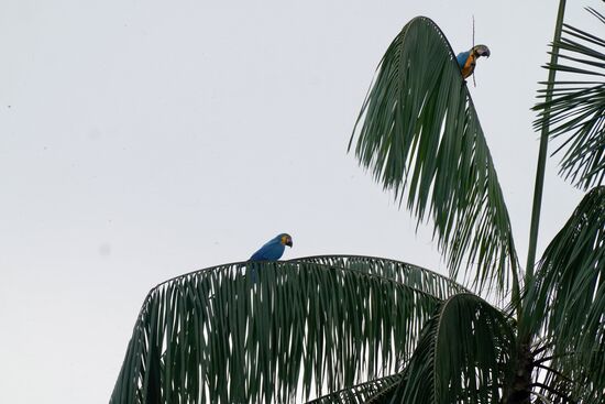 Sie genießen die Sonne
