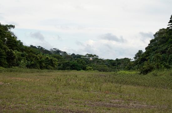 Dann hören wir ein Brummen