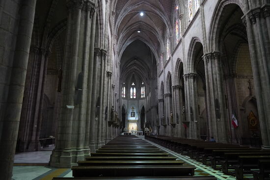 Das Mittelschiff ist riesig. Die Basilka ist die größte neugotische Basilika in Amerika und hat eine Höhe von 115 Meter.