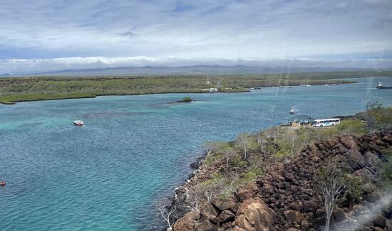Mit dem ersten Bus bis zum ‘Hafen