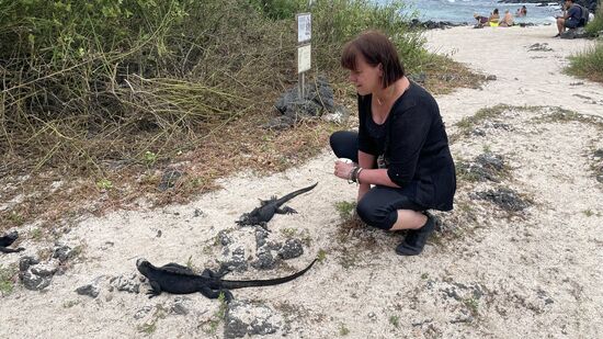 Überall sitzen und laufen sie herum..ich bin SO glücklich das sie so mitten unter den Menschen rumlaufen
