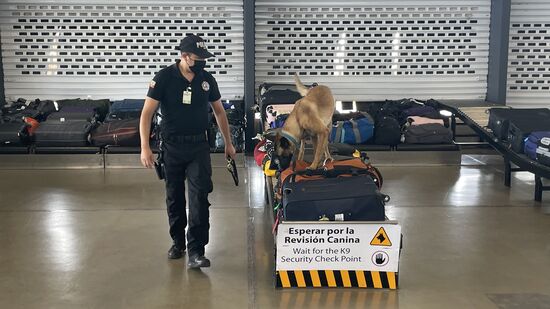 Damit die Spürhunde das Gepäck genau beschnüffeln können
