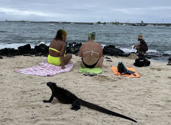 So interessante Geschöpfe, die sich ohne Scheu überall zeigen…