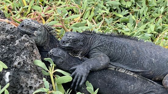 Sie haben sich lieb und genießen die Nähe