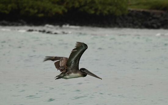 Direkt vor unserem Hotel