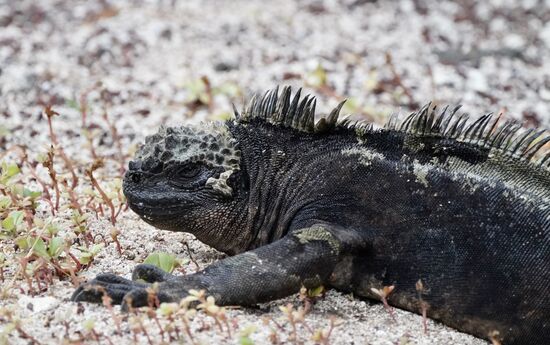 Ich freue mich: überall liegen die rum!