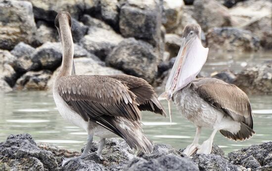 Yummy…..runtergeschluckt….