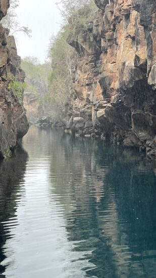 Ein schöner Kanal mit sehr klarem Wasser—man darf hier schnorcheln, aber essen und trinken ist untersagt!
Eine junge Frau hat sich nach dem schnorcheln ein paar Chips in den Mund geschoben, da kam gleich der Rüffel von oben!
Aber es ist toll, dass überall so aufgepaßt wird, zum Schutz der Tiere!