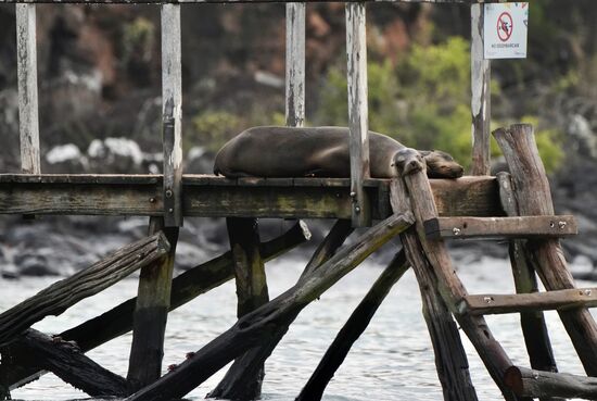 Dann wird noch mal ausgiebig geschnorchelt und es geht zurück
