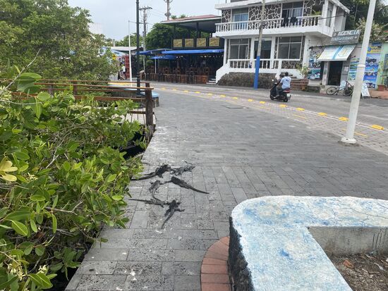 Da liegen wieder viele rum….man muß echt aufpassen, wo man hintritt