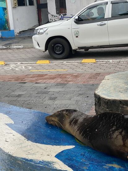 Er läßt sich garnicht stören…