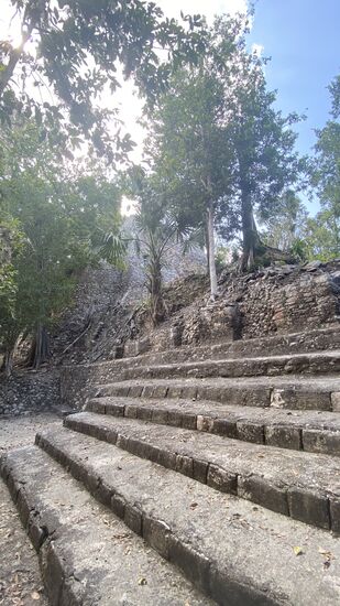 Coba, die Mayastätte, die im Dschungel liegt….Eintrittspreis ist 100 Pesos p.P.
Ich finde die Eintrittspreise überraschend günstig