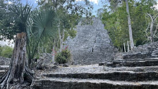 Coba war eine der größten Mayastädte in Yucatan und nahm eine Fläche von über 70qkm ein, die aus einem dicht-bebauten Zentrum und weit verstreuter dünner Besiedelung bestand.