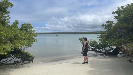 Auch leer, aber hier gibt es Mücken