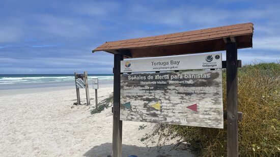 Gegen 10 Uhr sind wir schon am weißen leeren Strand