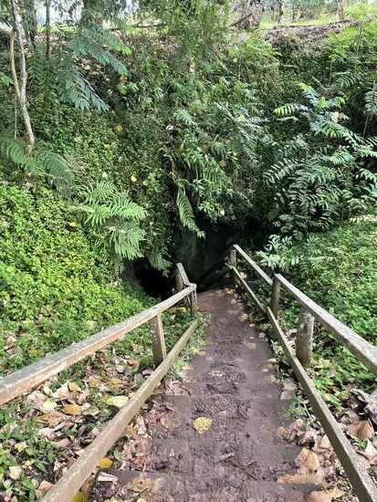 Schön versteckt im grünen Dickicht