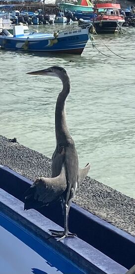 …in einer merkwürdigen Stellung…ob der Yoga macht?