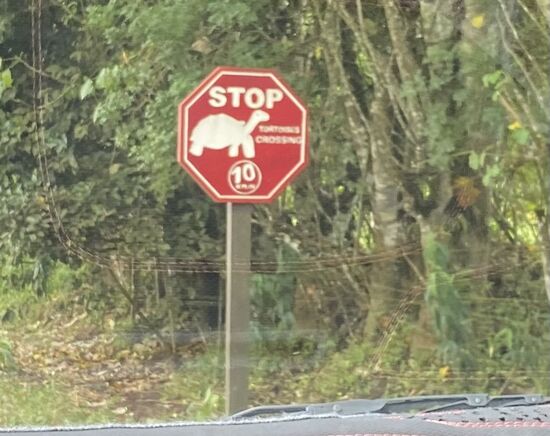 Um 13 Uhr machen wir uns auf den Weg—bis zu den „Lavatunnel“ und der „Ranch El Chalto“ sind es 22km