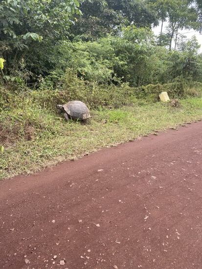 Die haut schnell ab..