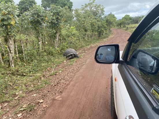 Ich finde es spannend, sie so frei herumlaufen zu sehen