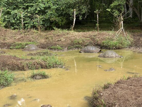 Hier ist der „Spa“ oder der Wellnessbereich