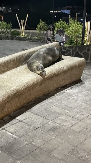 Hey—das ist eine Sitzbank für Menschen!!