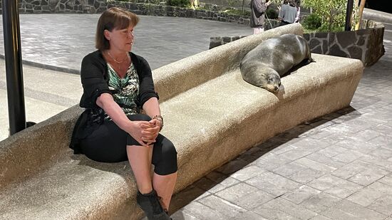 Irrtum—hier auf den Galapagos stehen die Tiere an erster Stelle!