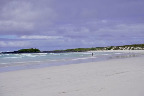 Bis zur „Tortuga bay“ sind es 3,5km—also ein schöner Fußweg.
Nur wenige hundert Meter durch den Ort …