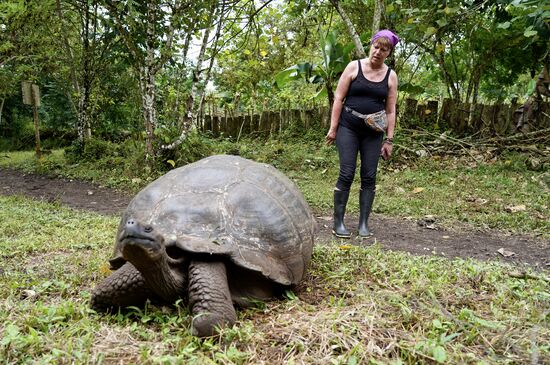 Ich liebe ja alle Reptilien und Schildkröten besonders!