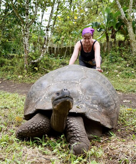 Er ist wirklich sehr groß und sein Panzer schon sehr mitgenommen