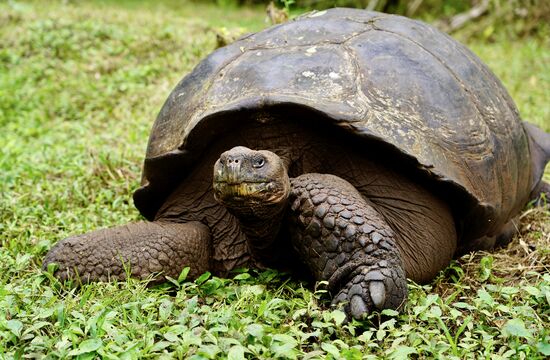 Ein paar schöne Nahaufnahmen dürfen nicht fehlen…