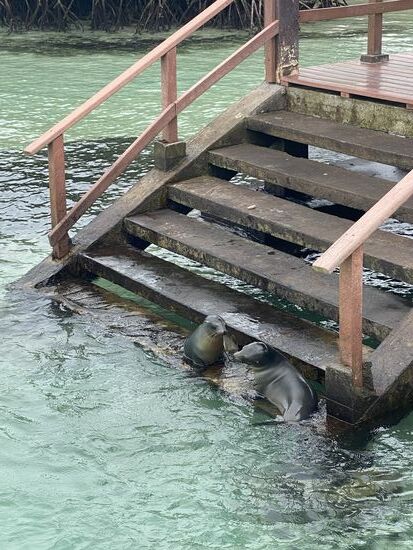 Da hat er endlich einen Spielkameraden gefunden ..