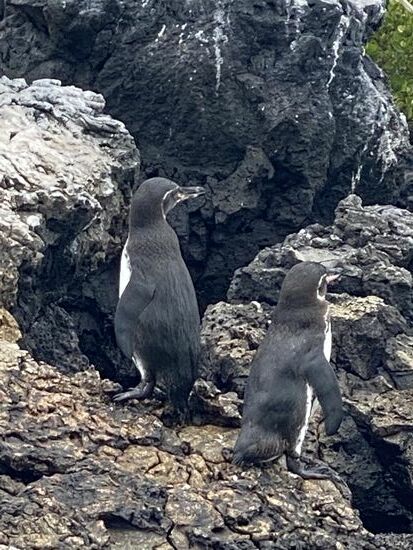 Sehr süß die Beiden