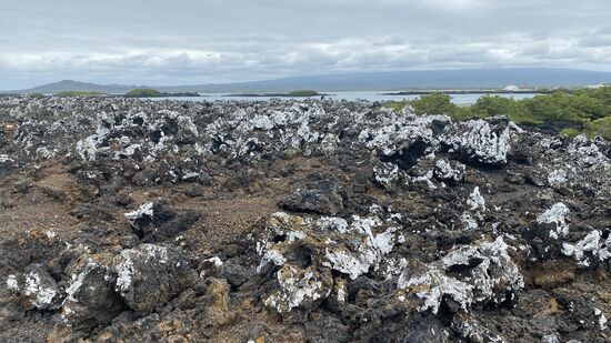 Unverkennbar die vulkanische Herkunft