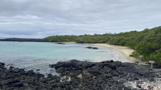 Wir gehen ein Stück weiter zur Korallenbucht—nur gucken und anfassen und Fotos machen—die Mitnahme einer Koralle bedeutet ca 500 US$ Strafe!