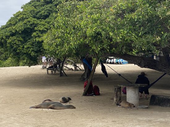 Zurück zum Hafen…